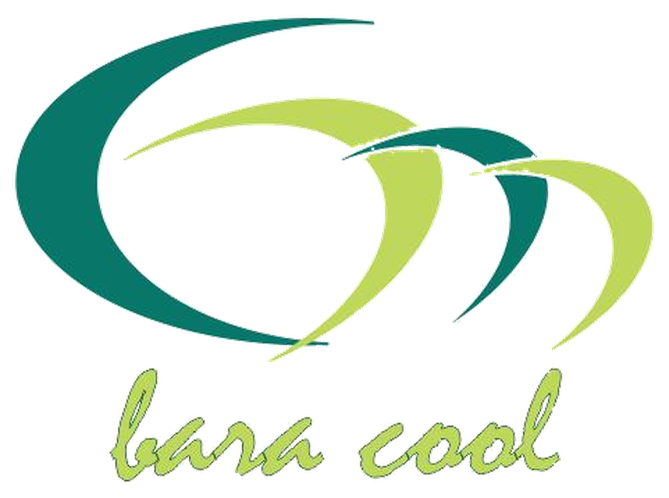 Logo PT BERKAH ANUGERAH RIZQY ABADI COOL
